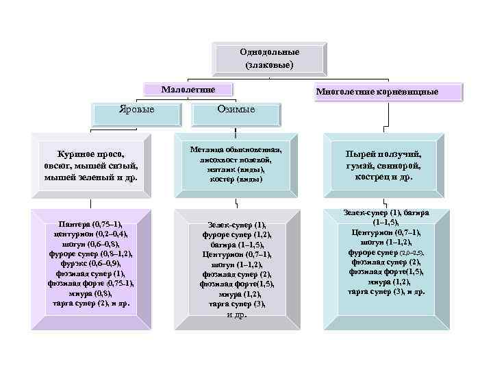 Однодольные (злаковые) Малолетние Яровые Куриное просо, овсюг, мышей сизый, мышей зеленый и др. Пантера