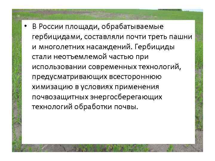  • В России площади, обрабатываемые гербицидами, составляли почти треть пашни и многолетних насаждений.