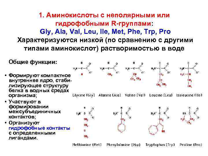 Гидрофобные связи белка. Неполярные гидрофобные аминокислоты. Неполярные гидрофильные аминокислоты. Классификация аминокислот неполярные. Строение неполярных (гидрофобных) аминокислот.