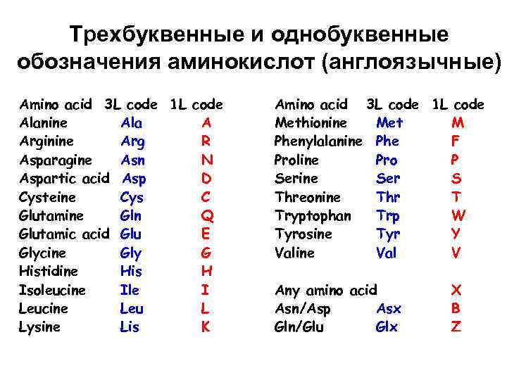 Трехбуквенные и однобуквенные обозначения аминокислот (англоязычные) Amino acid 3 L code 1 L code