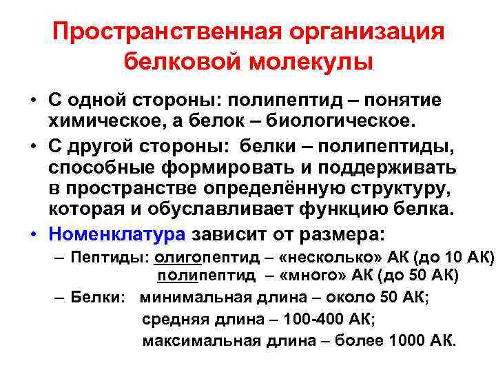 Пространственная организация белковой молекулы • С одной стороны: полипептид – понятие химическое, а белок