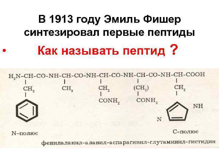 В 1913 году Эмиль Фишер синтезировал первые пептиды • Как называть пептид ? 