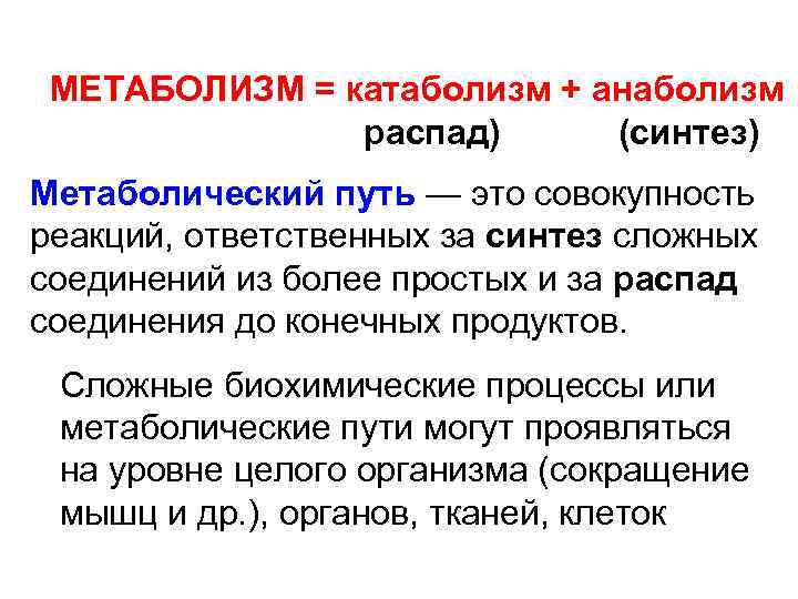 МЕТАБОЛИЗМ = катаболизм + анаболизм распад) (синтез) Метаболический путь — это совокупность реакций, ответственных