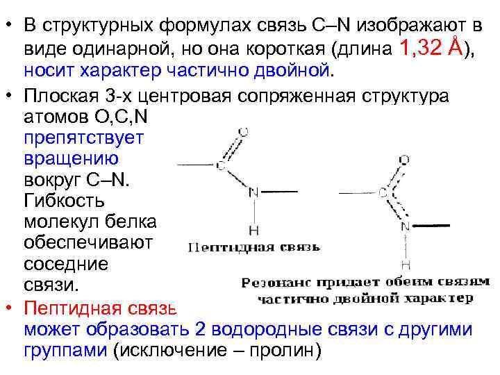  • В структурных формулах связь С–N изображают в виде одинарной, но она короткая