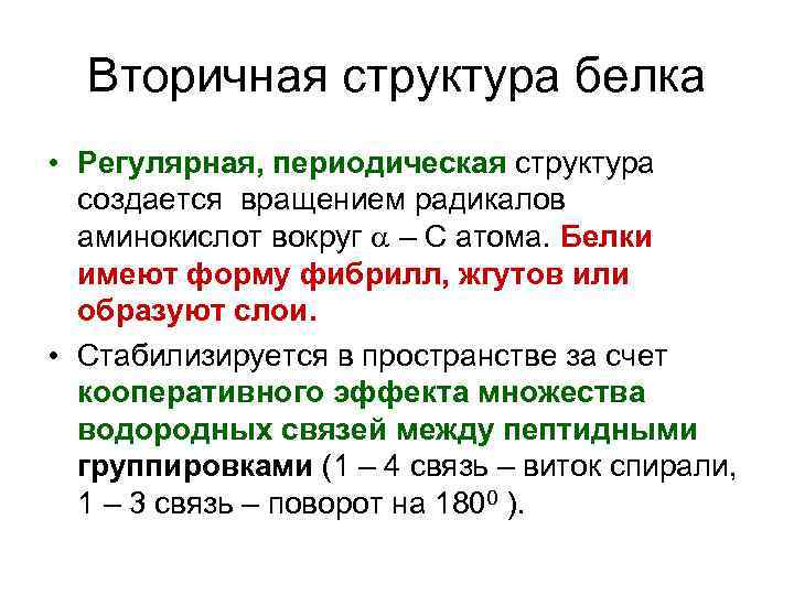 Вторичная структура белка • Регулярная, периодическая структура создается вращением радикалов аминокислот вокруг – С