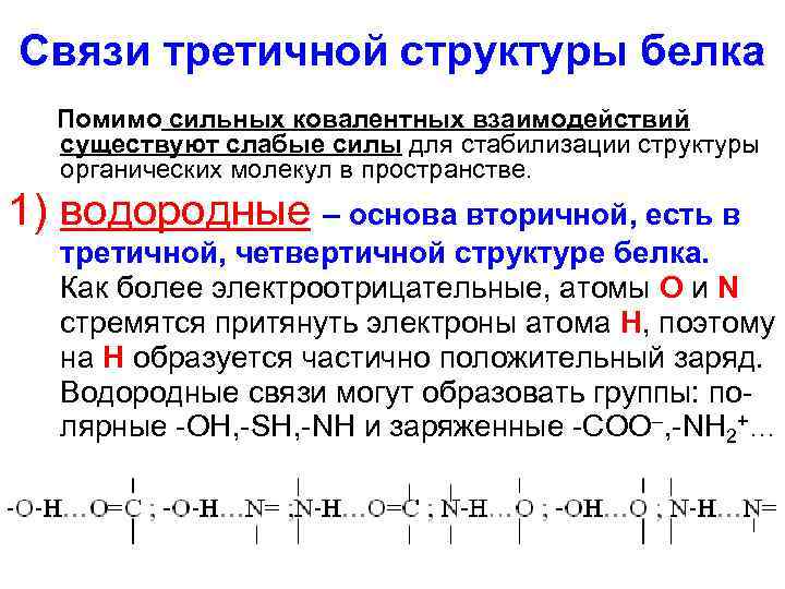 Связи третичной структуры белка Помимо сильных ковалентных взаимодействий существуют слабые силы для стабилизации структуры