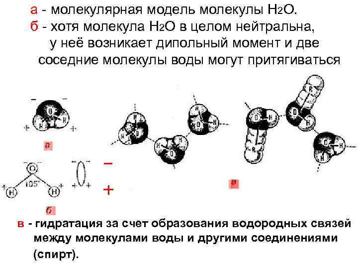 а - молекулярная модель молекулы Н 2 О. б - хотя молекула Н 2