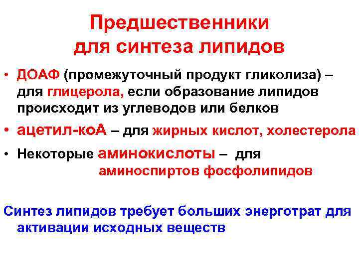 Предшественники для синтеза липидов • ДОАФ (промежуточный продукт гликолиза) – для глицерола, если образование