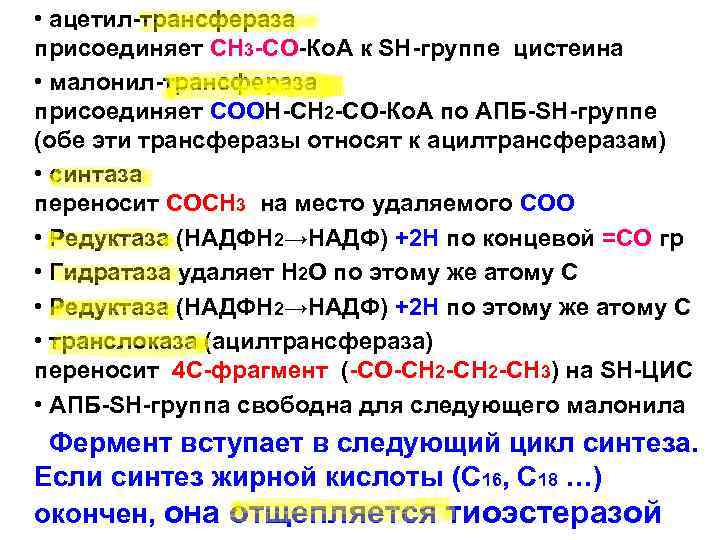 Ацетил сайт. Ацетил малонил АПБ. Ацетил КОА ацетил трансфераза. КОА трансферазы. Малонил КОА В малонил АПБ.