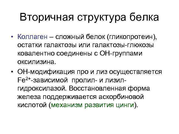Вторичная структура белка • Коллаген – сложный белок (гликопротеин), остатки галактозы или галактозы-глюкозы ковалентно