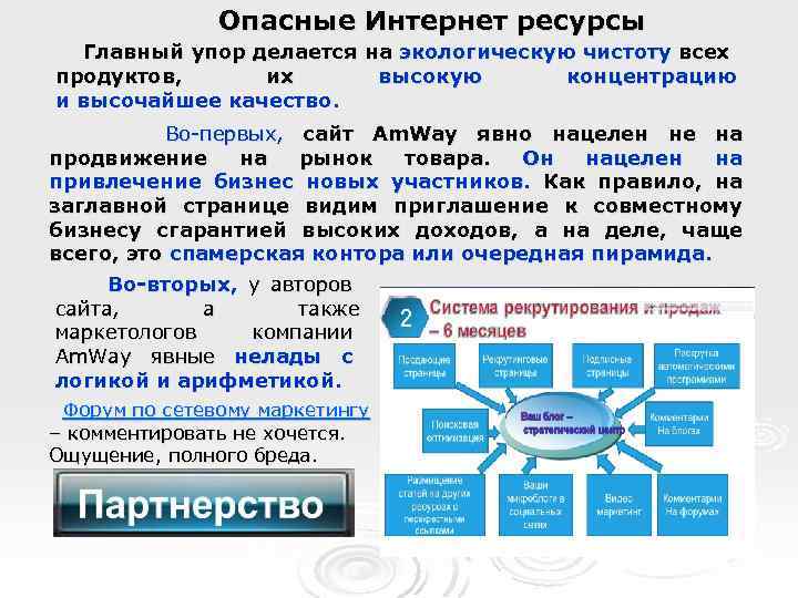 Опасные Интернет ресурсы Главный упор делается на экологическую чистоту всех продуктов, их высокую концентрацию