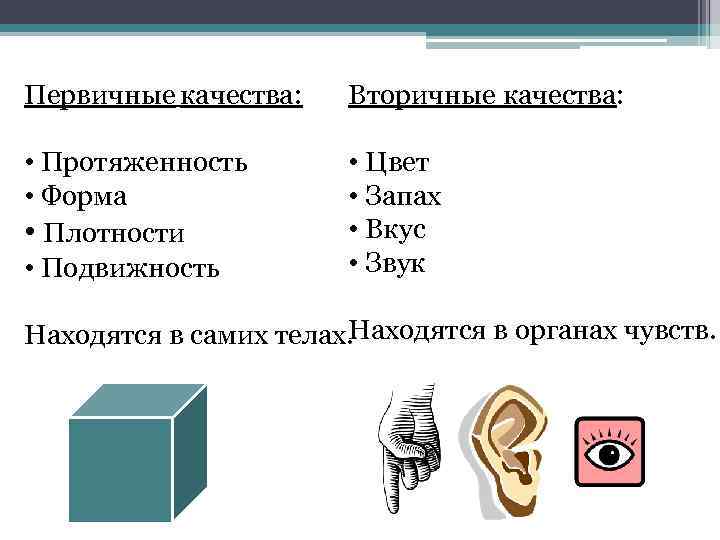 Первичные качества: Вторичные качества: • Протяженность • Форма • Плотности • Подвижность • Цвет
