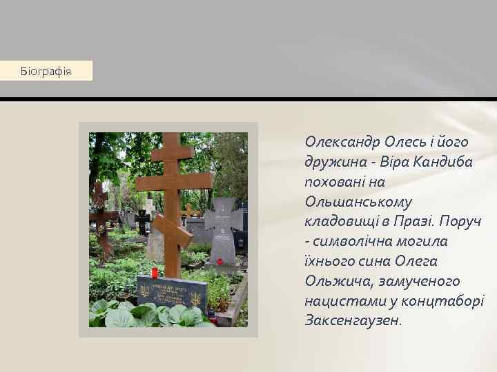 Біографія Олександр Олесь і його дружина - Віра Кандиба поховані на Ольшанському кладовищі в