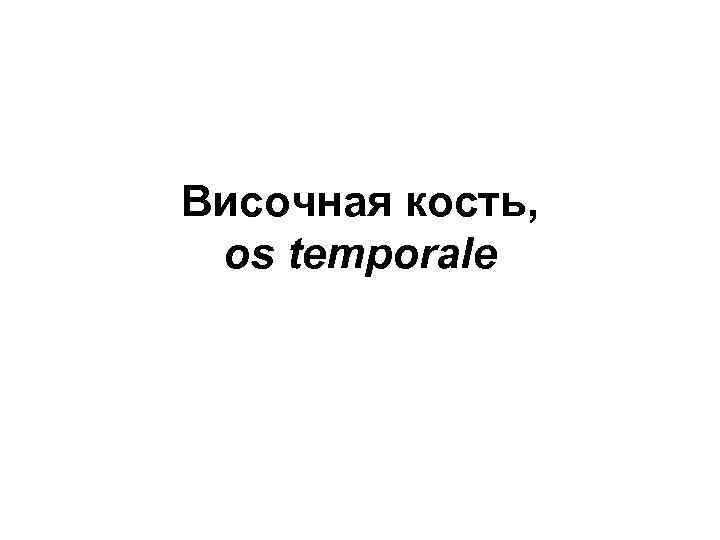 Височная кость, os temporale 