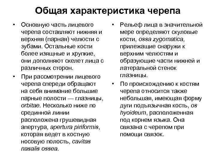 Общая характеристика черепа • Основную часть лицевого черепа составляют нижняя и верхняя (парная) челюсти