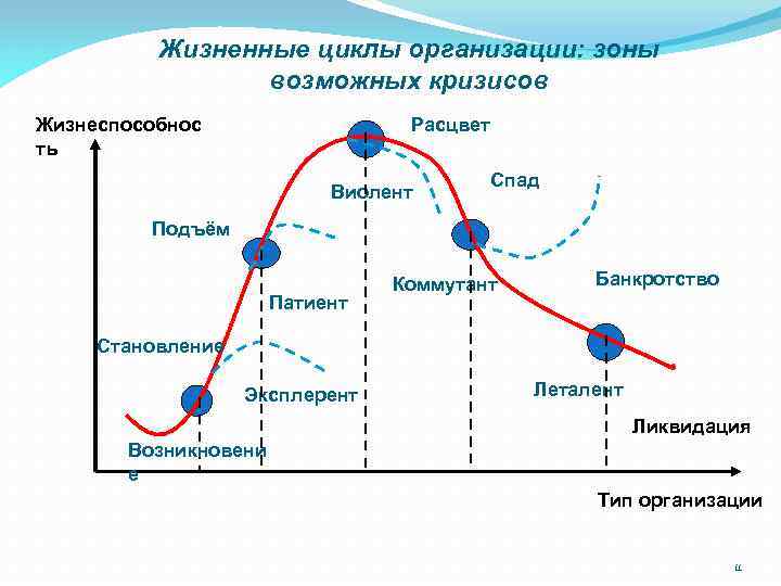 Схема жизненного цикла организации