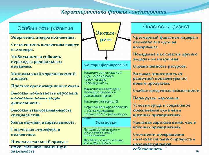 Характеристики фирмы - эксплерента Особенности развития Энергетика лидера коллектива. Сплоченность коллектива вокруг его лидера.