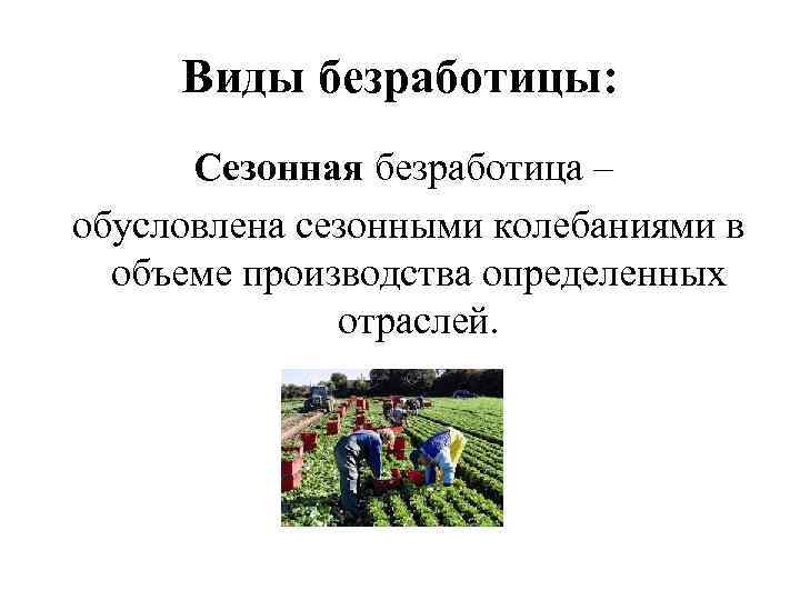 Виды безработицы: Сезонная безработица – обусловлена сезонными колебаниями в объеме производства определенных отраслей. 