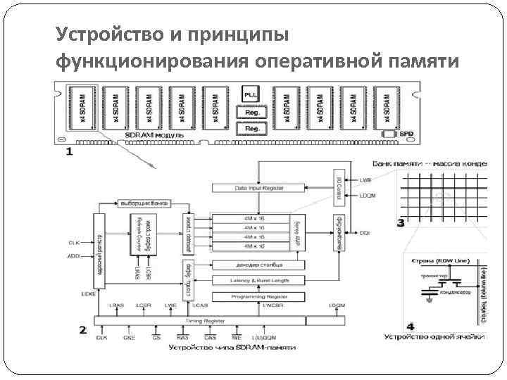 Оперативное устройство. ОЗУ схема устройства. Модуль памяти ОЗУ схема. Оперативная память компьютера схема. Упрощенная структурная схема динамической оперативной памяти.