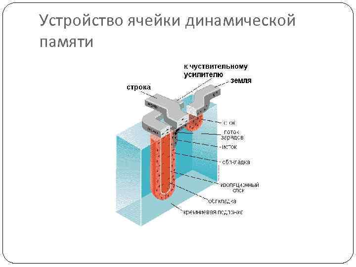 Устройство ячейки динамической памяти 