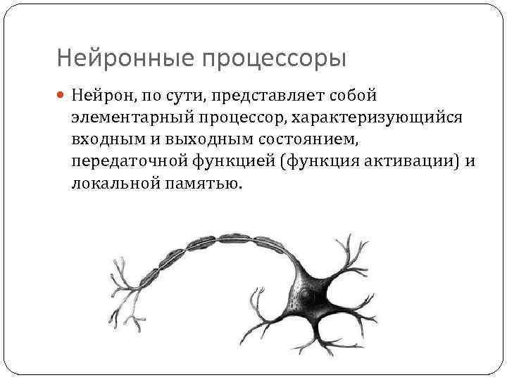 Нейронные процессоры Нейрон, по сути, представляет собой элементарный процессор, характеризующийся входным и выходным состоянием,