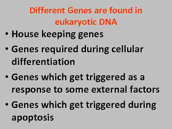 Different Genes are found in eukaryotic DNA • House keeping genes • Genes required