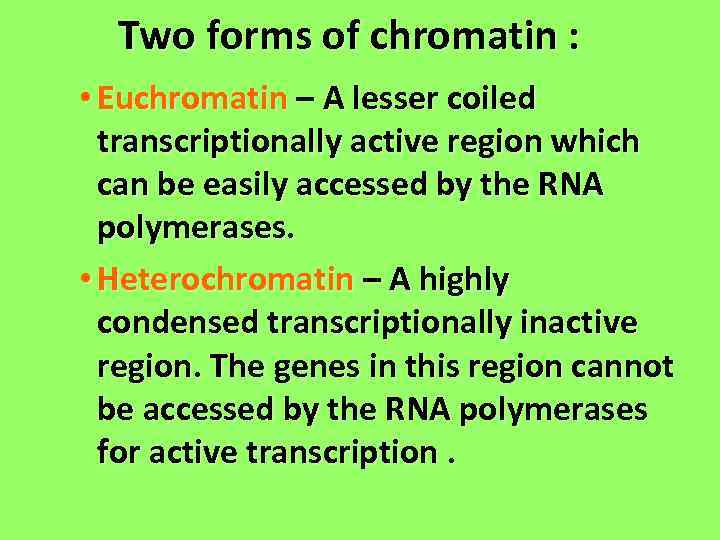 Two forms of chromatin : • Euchromatin – A lesser coiled transcriptionally active region