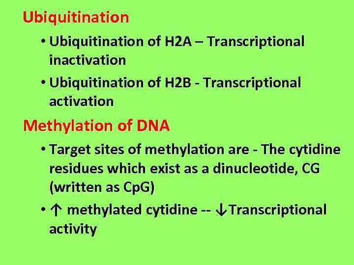 Ubiquitination • Ubiquitination of H 2 A – Transcriptional inactivation • Ubiquitination of H