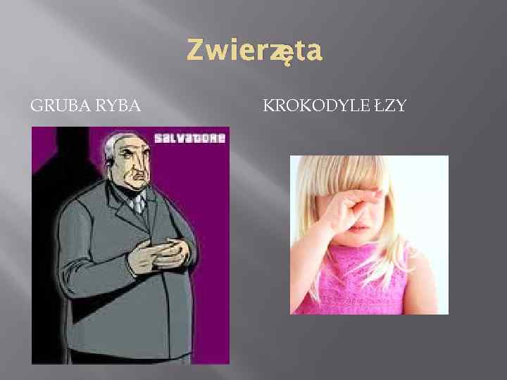 ęta Zwierz GRUBA RYBA KROKODYLE ŁZY 