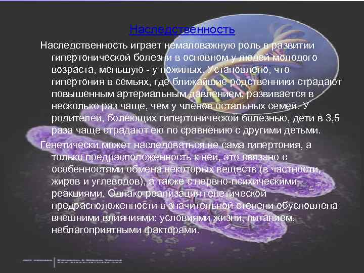 Наследственность играет немаловажную роль в развитии гипертонической болезни в основном у людей молодого возраста,