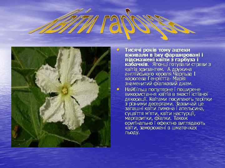  • Тисячі років тому ацтеки • вживали в їжу фаршировані і підсмажені квіти