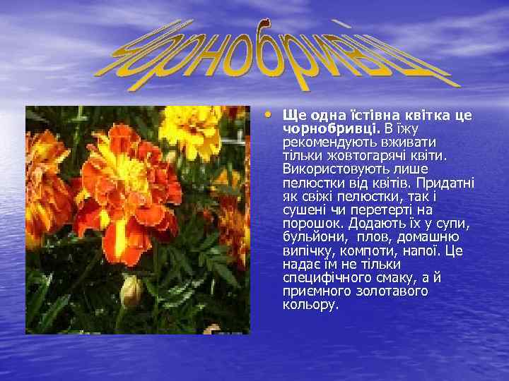  • Ще одна їстівна квітка це чорнобривці. В їжу рекомендують вживати тільки жовтогарячі