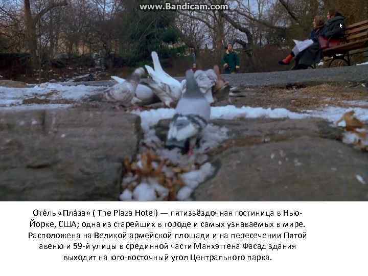 Оте ль «Пла за» ( The Plaza Hotel) — пятизвёздочная гостиница в Нью. Йорке,