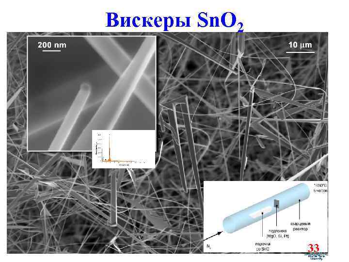 Вискеры Sn. O 2 33 