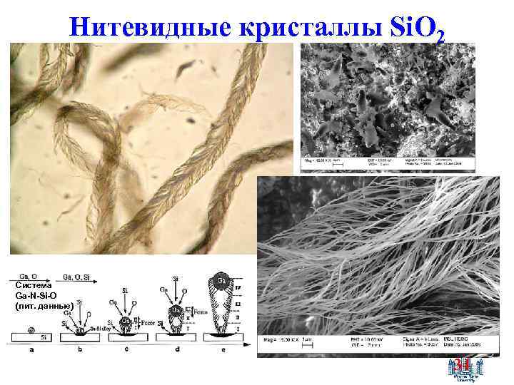 Нитевидные кристаллы Si. O 2 Система Ga-N-Si-O (лит. данные) 34 