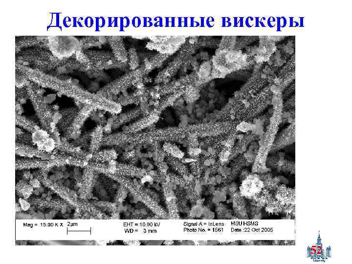 Декорированные вискеры 52 