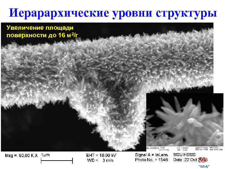 Иерарархические уровни структуры Увеличение площади поверхности до 16 м 2/г 53 