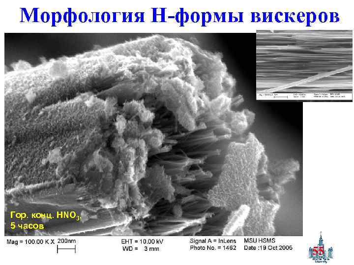Морфология Н-формы вискеров Гор. конц. HNO 3, 5 часов 55 