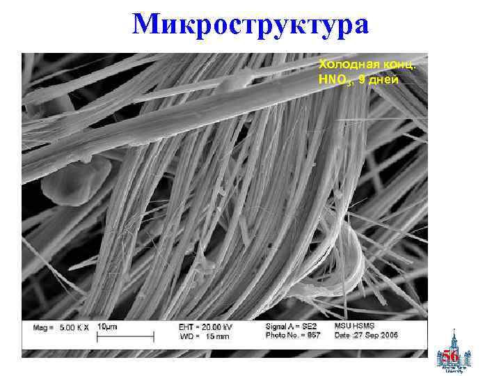 Микроструктура Холодная конц. HNO 3, 9 дней 56 