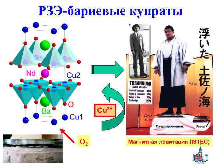 РЗЭ-бариевые купраты Cu 3+ O 2 Магнитная левитация (ISTEC) 59 