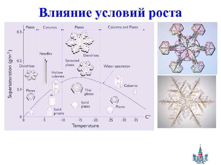 Влияние условий роста 7 
