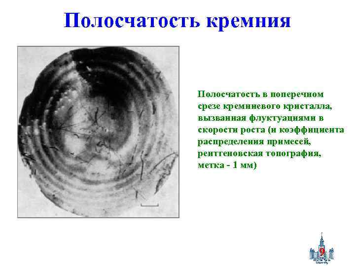 Полосчатость кремния Полосчатость в поперечном срезе кремниевого кристалла, вызванная флуктуациями в скорости роста (и
