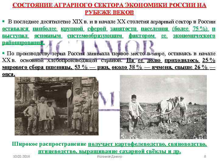 СОСТОЯНИЕ АГРАРНОГО СЕКТОРА ЭКОНОМИКИ РОССИИ НА РУБЕЖЕ ВЕКОВ § В последнее десятилетие XIX в.