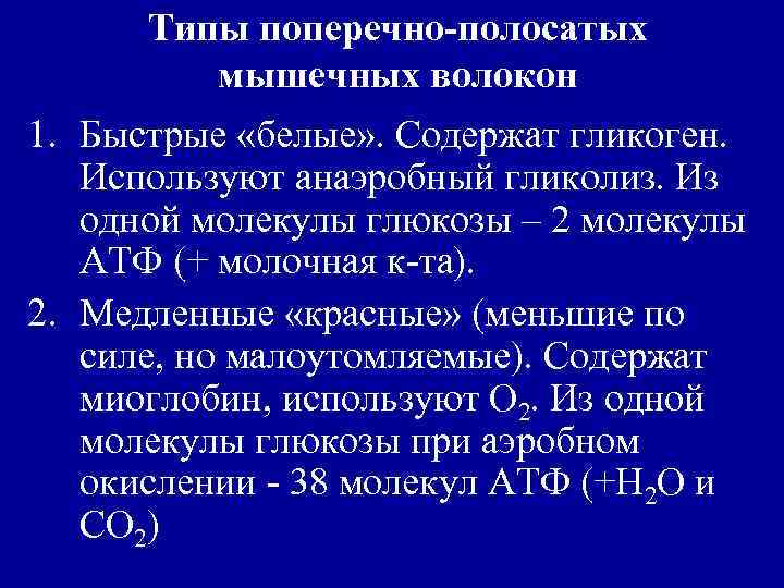 Типы поперечно-полосатых мышечных волокон 1. Быстрые «белые» . Содержат гликоген. Используют анаэробный гликолиз. Из