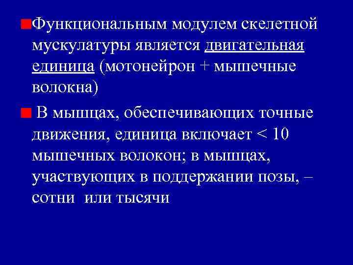 Функциональным модулем скелетной мускулатуры является двигательная единица (мотонейрон + мышечные волокна) В мышцах, обеспечивающих