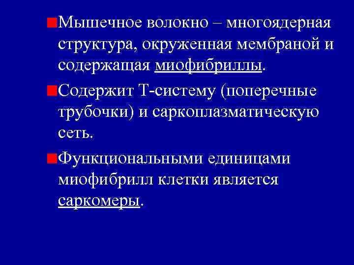 Мышечное волокно – многоядерная структура, окруженная мембраной и содержащая миофибриллы. Содержит Т-систему (поперечные трубочки)