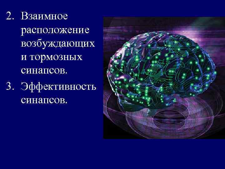 2. Взаимное расположение возбуждающих и тормозных синапсов. 3. Эффективность синапсов. 