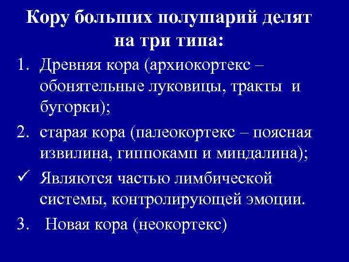 Кору больших полушарий делят на три типа: 1. Древняя кора (архиокортекс – обонятельные луковицы,