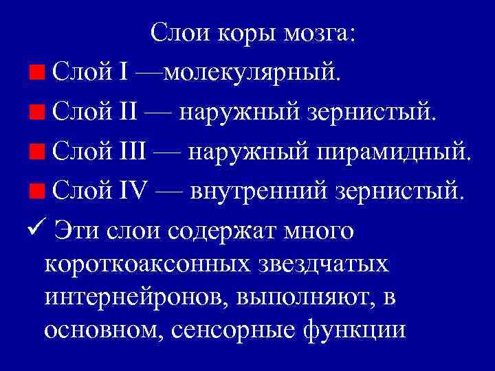 Слои коры мозга: Слой I —молекулярный. Слой II — наружный зернистый. Слой III —