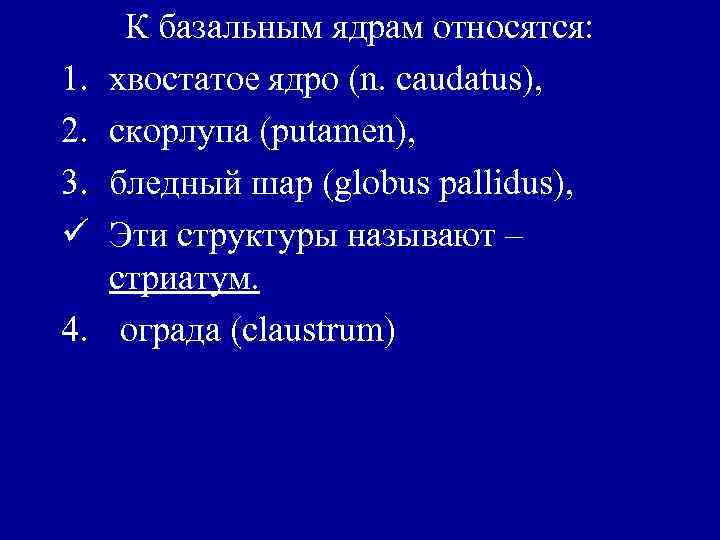 1. 2. 3. ü 4. К базальным ядрам относятся: хвостатое ядро (n. caudatus), скорлупа